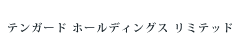 テンガード ホールディングス リミテッド